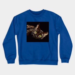 Black Cat Crewneck Sweatshirt